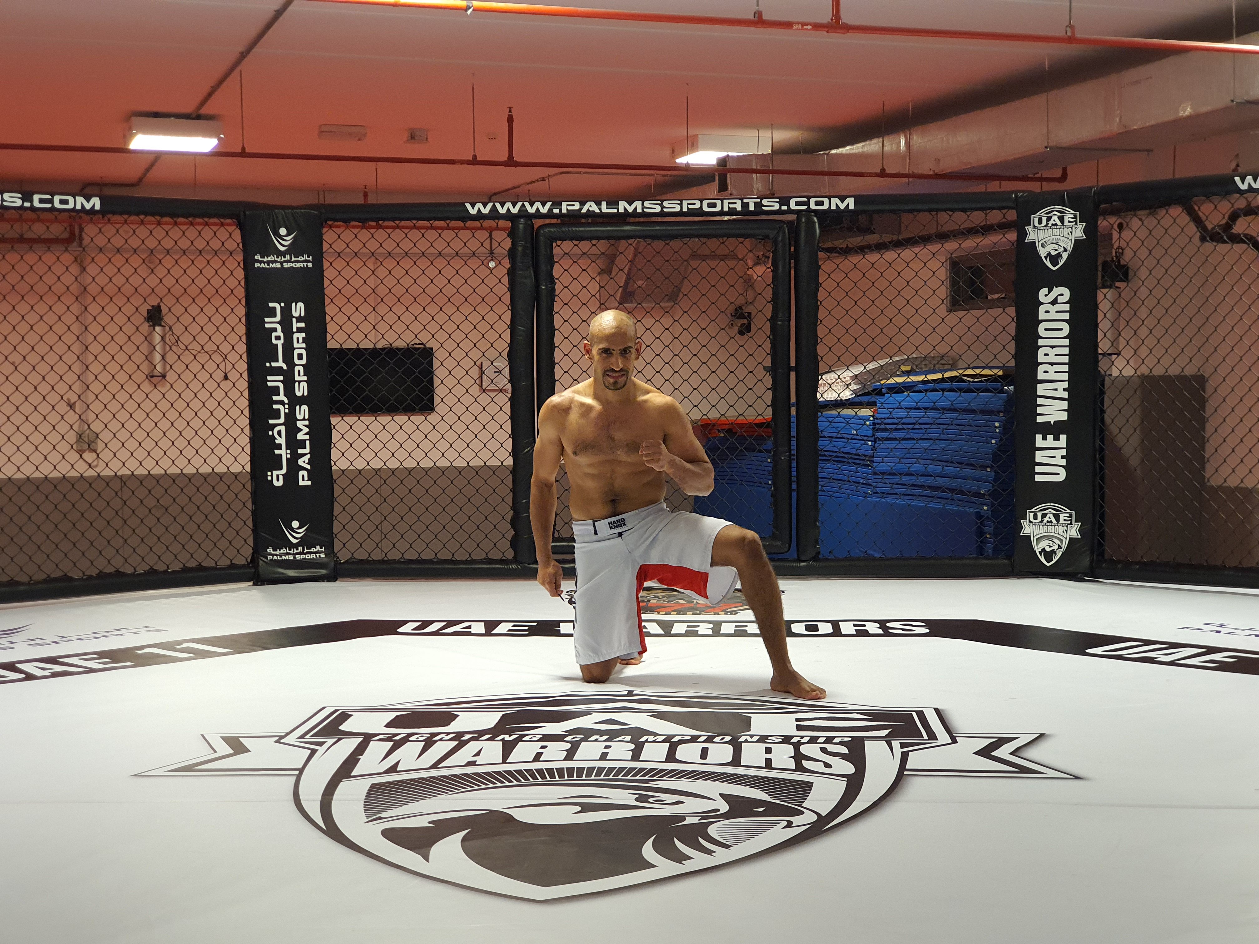 Mohamed Mashaly gallery